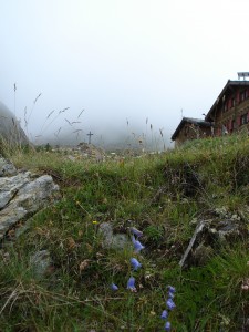 Nebel auf der Täschalp